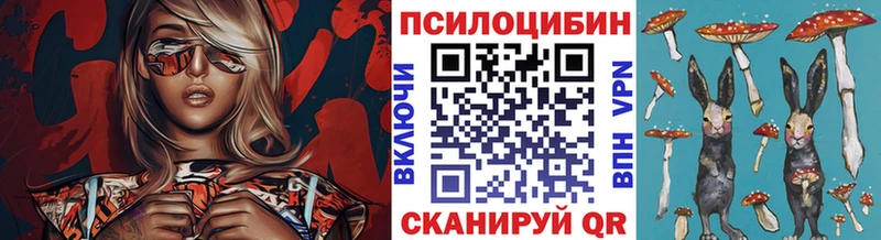 Галлюциногенные грибы Magic Shrooms  Гдов 